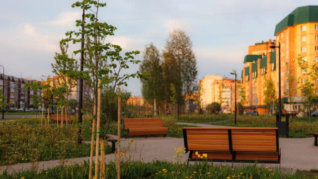 Сквер на улице Городецкой фото 10
